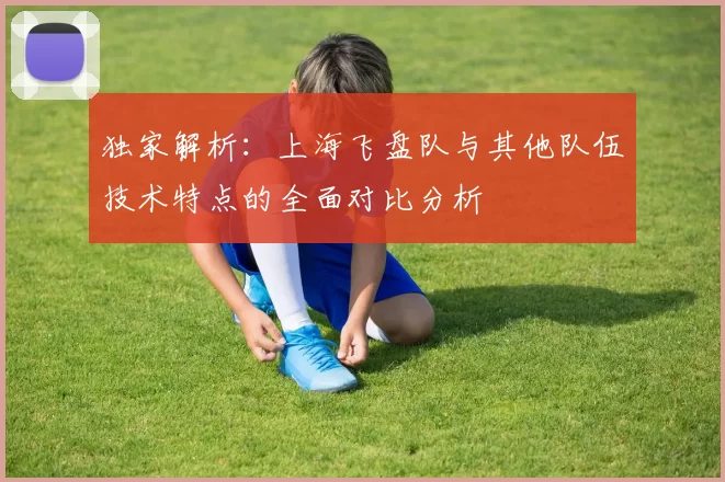 独家解析：上海飞盘队与其他队伍技术特点的全面对比分析