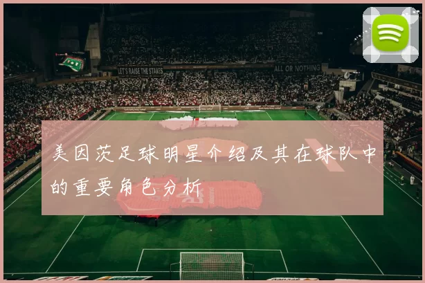 美因茨足球明星介绍及其在球队中的重要角色分析