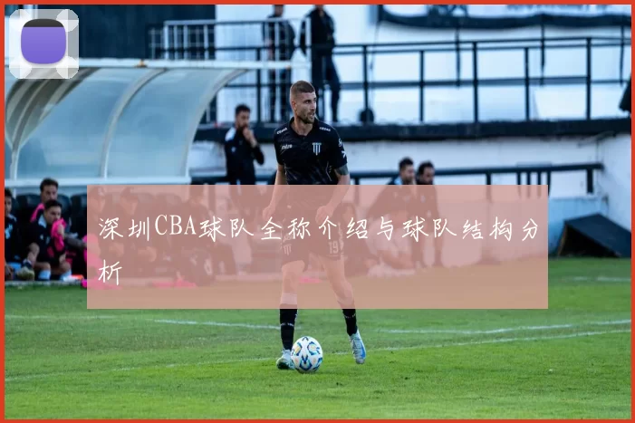 深圳CBA球队全称介绍与球队结构分析