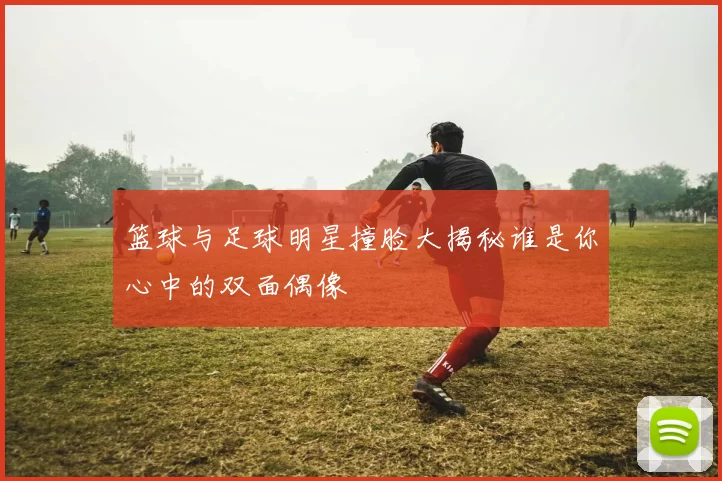 篮球与足球明星撞脸大揭秘谁是你心中的双面偶像