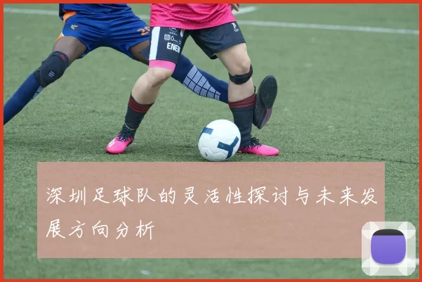 深圳足球队的灵活性探讨与未来发展方向分析