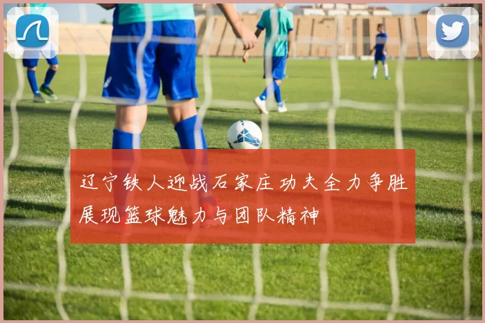 辽宁铁人迎战石家庄功夫全力争胜展现篮球魅力与团队精神