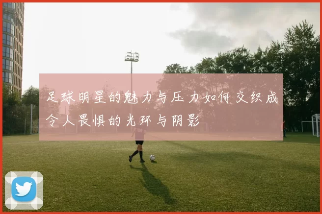 足球明星的魅力与压力如何交织成令人畏惧的光环与阴影